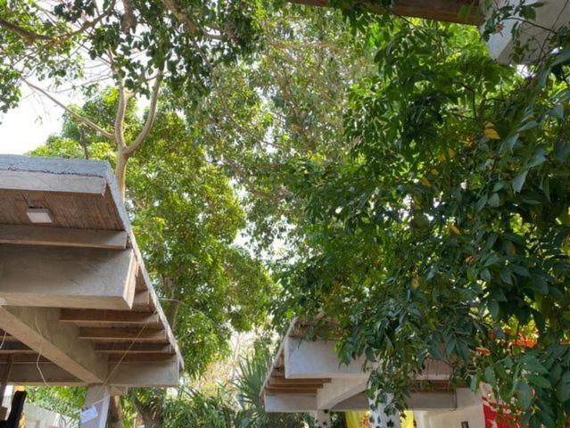 Apartamento Jumanji Palomino Exterior foto